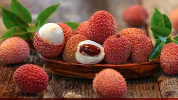 গ্রীষ্মের রসাল লিচু