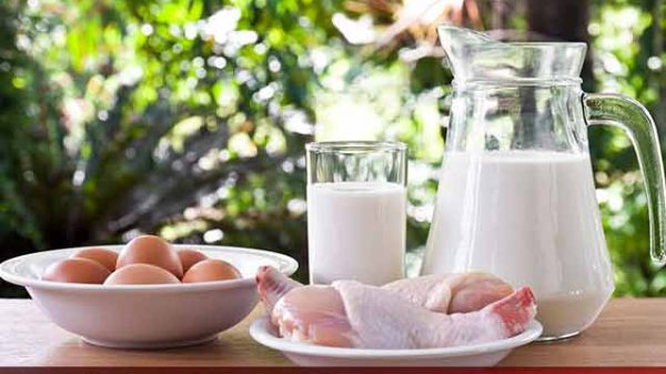 এই খাবারগুলো একসাথে খাবেন না