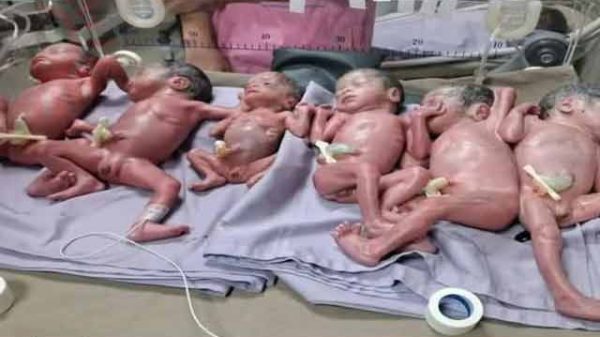 চট্টগ্রামে ছয় নবজাতক