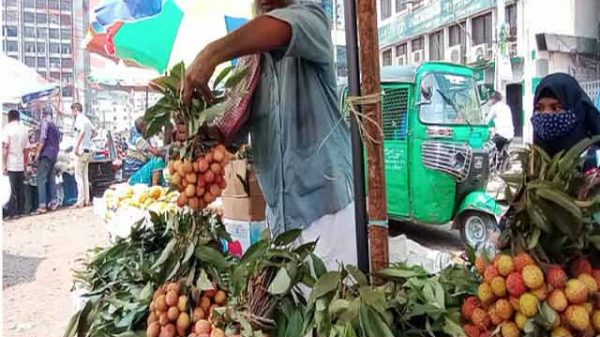 আগাম লিচু