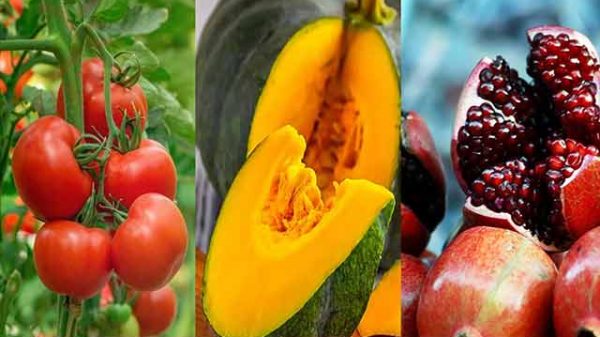 পুরুষের বন্ধ্যত্বের কারণ