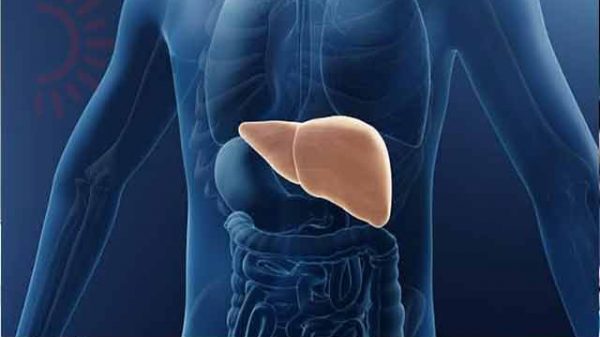 ফ্যাটি লিভার