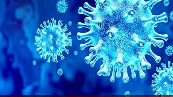 আরও ১৯ জনের করোনা শনাক্ত