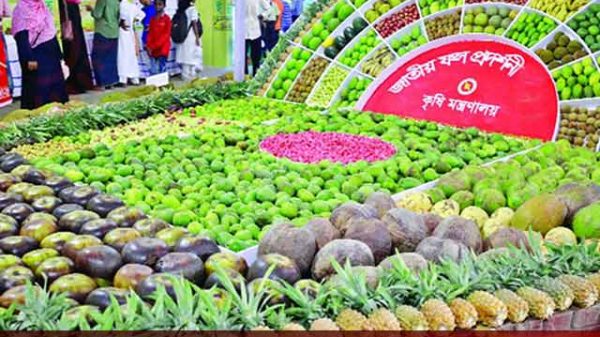 ফল মেলা