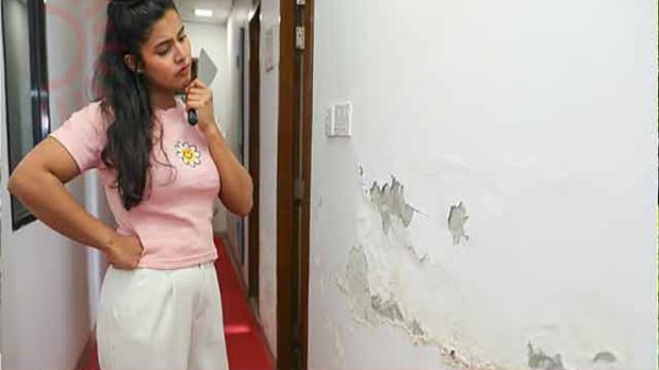 বর্ষায় দেয়ালের শত্রুতা