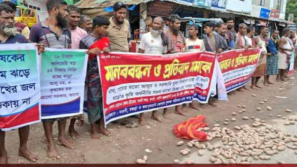 ন্যায্য মূল্যের দাবিতে সড়কে আলু ফেলে বিক্ষোভ