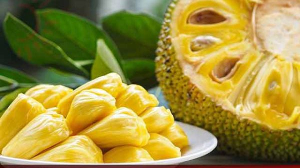 কাঁঠাল
