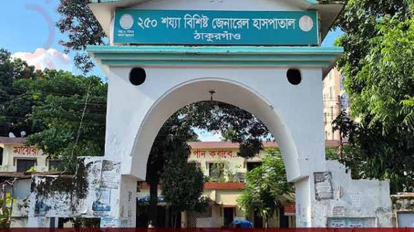 সাপের কামড়ে দুই সপ্তাহে ৫ জনের মৃত্যু