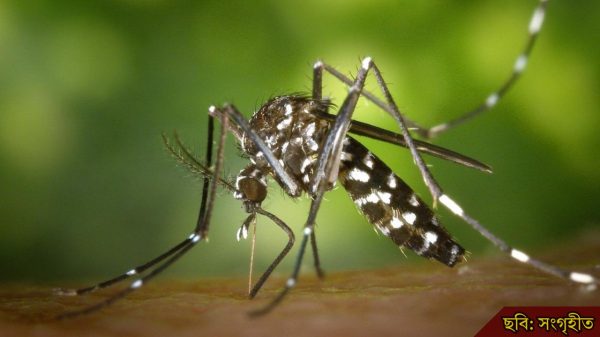 একদিনেই মৃত্যু তিন, আক্রান্ত ৪৭৩