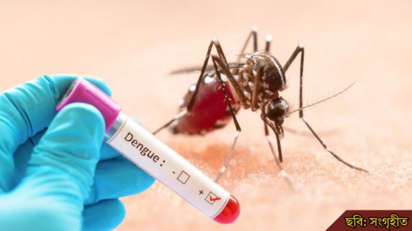 নয় মাসে ডেঙ্গুতে প্রাণ গেল ২০০ জনের