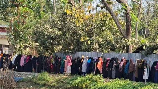 নির্বাচন ও গণভোট